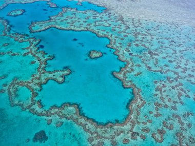 Great Barrier Reef - havadan görünümü