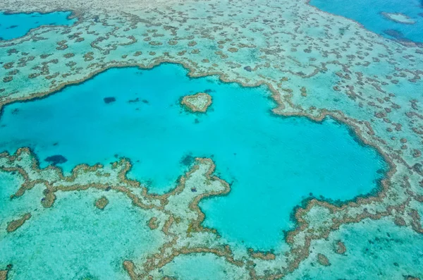 Grande barrière de corail - Vue Aérienne — Photo