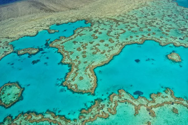 Grande barrière de corail - Vue Aérienne — Photo