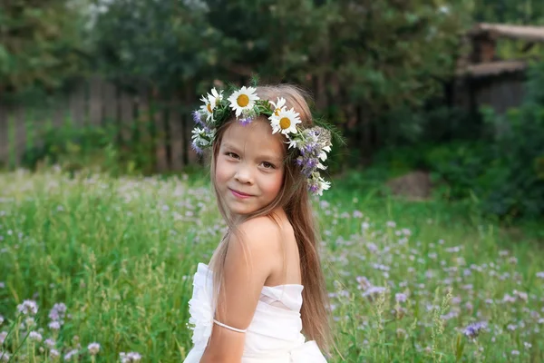 Retrato de uma menina do campo vestindo uma coroa de camomilas — Fotografia de Stock