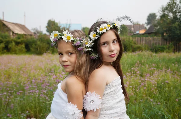 Retrato de uma bela menina vestindo uma coroa de camomilas — Fotografia de Stock