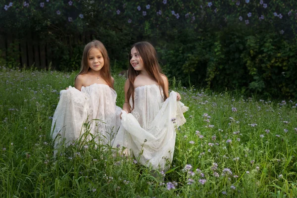 Duas meninas andando em um prado verde entre a grama alta — Fotografia de Stock