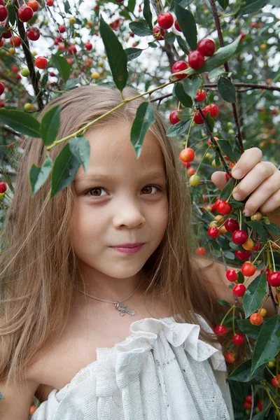 小女孩用一棵樱桃树 — 图库照片