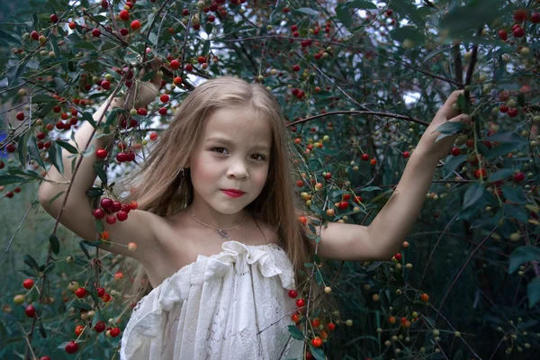 Retrato estilizado de una niña pequeña cerca de un cerezo — Foto de Stock