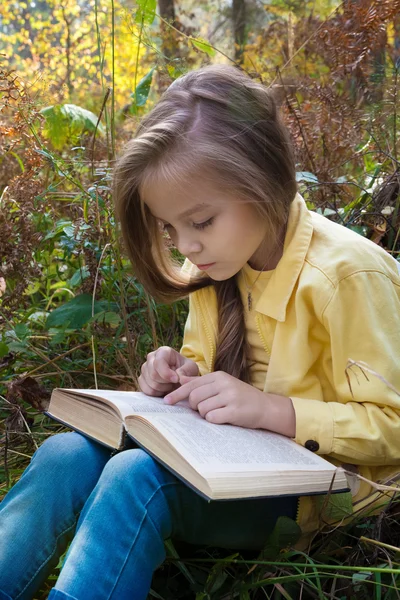 Kız açık havada Hint yaz sonbaharda otururken bir kitap okuma