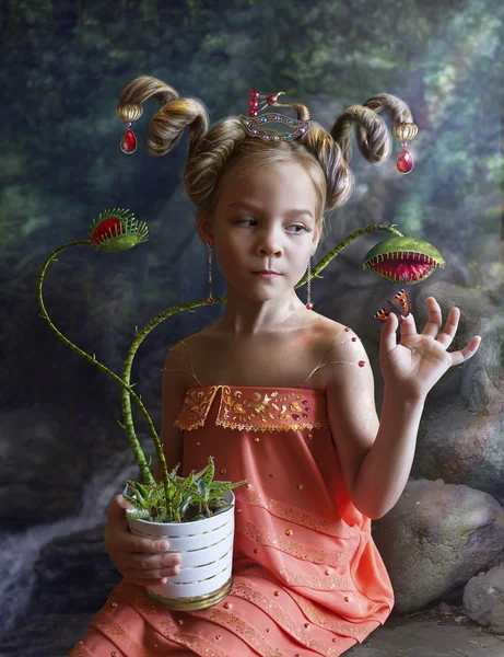 Seara gustare sundew — Fotografie, imagine de stoc