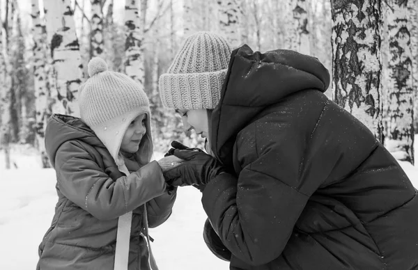ママの手暖かい冬森の黒と白の写真の娘 — ストック写真