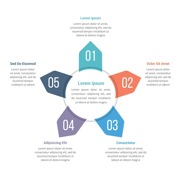Circle Infographics Template Five Elements Can Used Steps Options Process — Stok Vektör