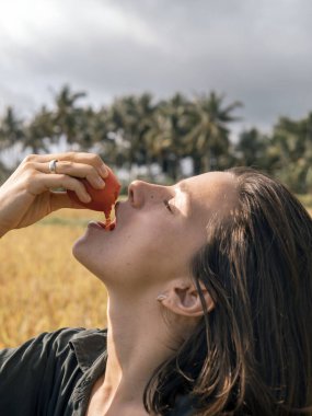 Genç bir çiftçi kadın organik tarladan taze domates topluyor..