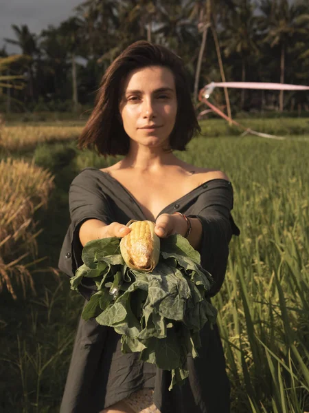 Beautiful Young Farmer Woman Ripe Corn Сайті Organic Farm Field — стокове фото