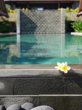 Yüzme havuzu, çiçekler frangipani, bali tarzı