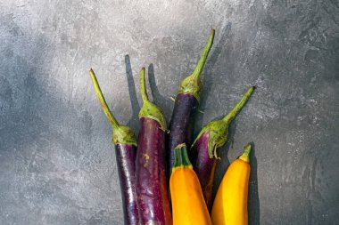 Gri arka planda organik bir çiftlikten taze sebzeler. Uzayı kopyala Kabak ve patlıcan.