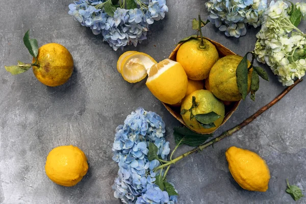 Citrony Pomeranče Hortenzie Jsou Roztroušeny Šedé Betonové Rovině — Stock fotografie