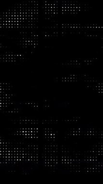 Rastgele parlayan noktalar. Siyah arka planda beyaz noktalar. Yarı ton doku animasyonu. İşletmeler veri ve teknoloji video efekti