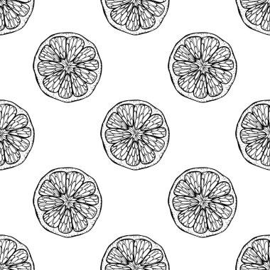 Citrus seamless pattern. Cut off  round piece segment of fruit in the skin. Mandarin lemon orange grapefruit lime. Hand drawn doodle outline black sketch. Stock vector illustration on white background. vector