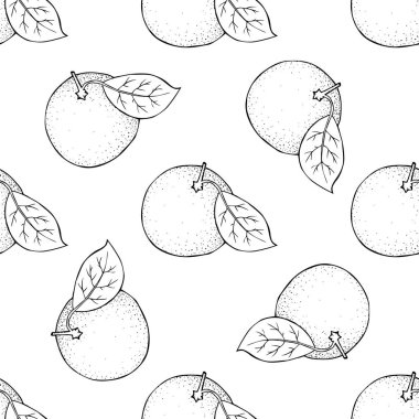 Citrus dikişsiz desen. Dal ve yaprak kaplı yuvarlak meyveler. Mandalina limonlu greyfurt limonu. Elle çizilmiş siyah çizim. Beyaz arkaplanda stok vektör illüstrasyonu