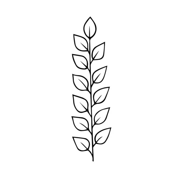 Plantkvist med blad handritade klotter kontur. ram gräns svart designelement. Gratulationskort inbjudan delare. Stock vektor illustration isolerad på vit bakgrund — Stock vektor