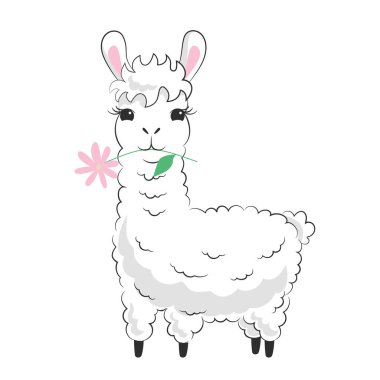 Cute fluffy llama with a flower. Hand drawn white kawaii alpaca. Childish character design. Nursery decoration. Stock vector illustration isolated on white background