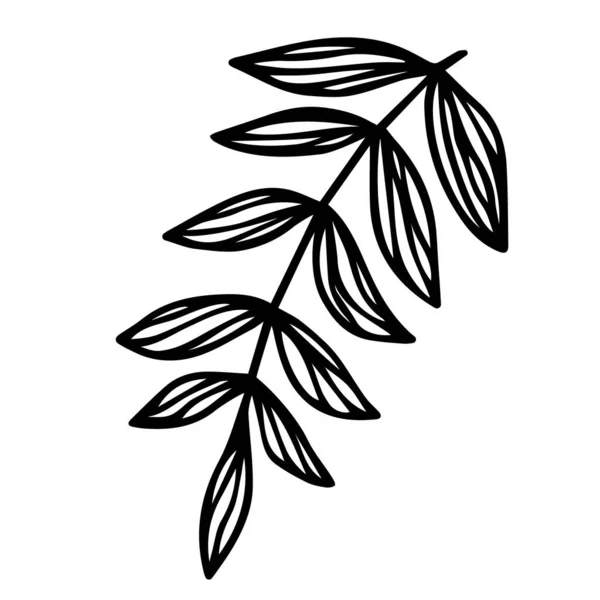Filial med löv. Handritad svart klotter kontur silhuett av växt kvist. Aktievektor minimal illustration isolerad på vit bakgrund — Stock vektor