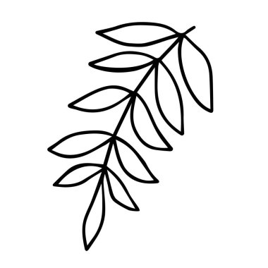 Yapraklı dal. Elle çizilmiş siyah karalama ana hatlarıyla bitki dalının silueti. Beyaz arkaplanda izole edilmiş hisse senedi vektörü minimum illüstrasyonu