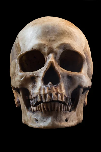 검은 배경의 사람의 두개골 — 스톡 사진