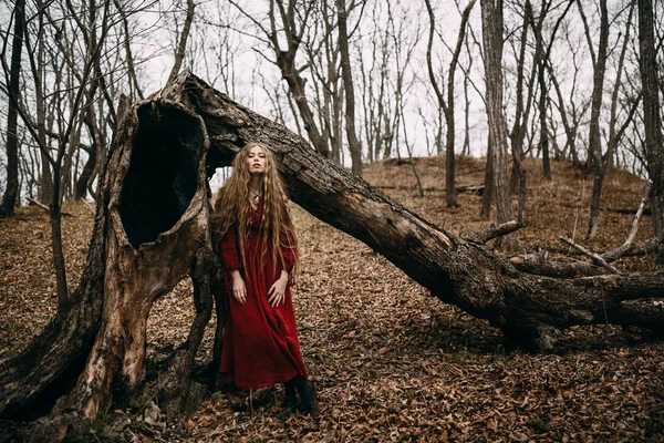 在森林里的巫婆 — 图库照片