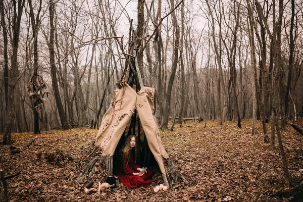 Heks i skog – stockfoto
