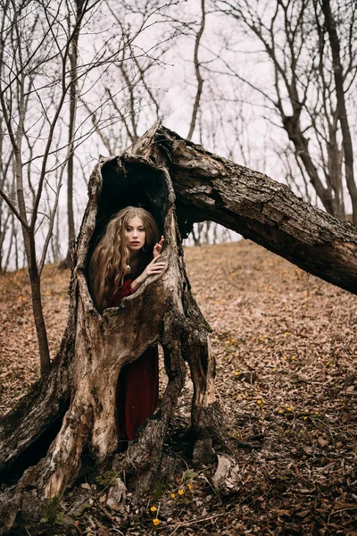 Young witch in the autumn forest — Stock Photo, Image