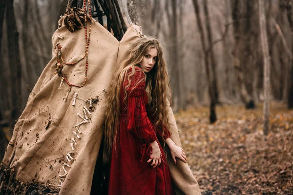 在森林里的巫婆 — 图库照片