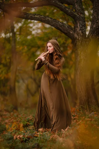 Mulher ruiva no vestido andando na floresta fantasia conto de fadas Imagem De Stock