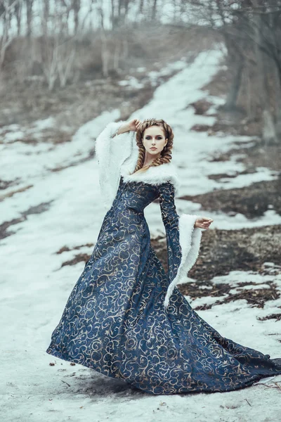 De vrouw op winter lopen met een hond — Stockfoto