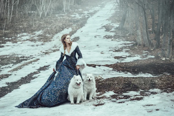 De vrouw op winter lopen met een hond — Stockfoto