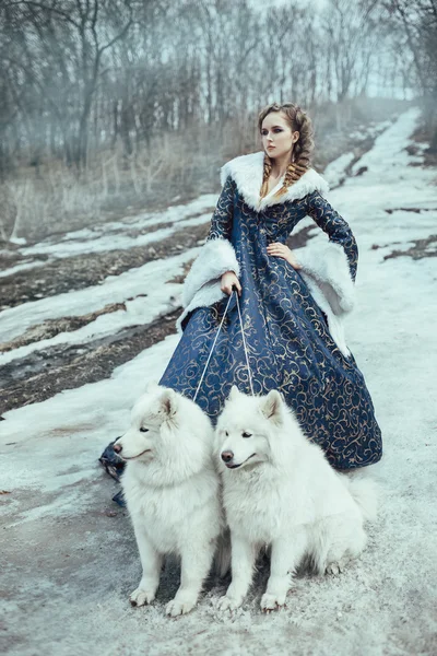 Η γυναίκα στο χειμώνα με τα πόδια με ένα σκυλί — Φωτογραφία Αρχείου