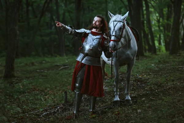 Caballero en el bosque — Foto de Stock