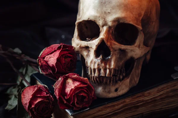 insan kafatası ile natürmort
