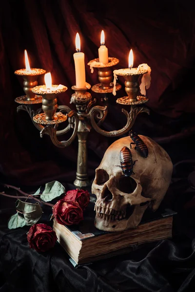 Gotisches Stillleben mit Totenkopf — Stockfoto