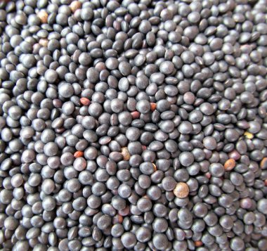 Beluga mercimek gelen kapat