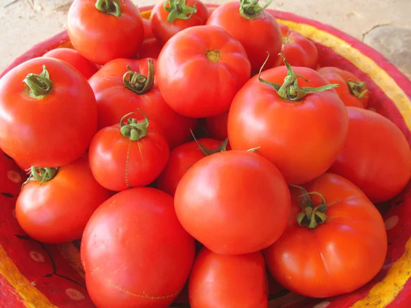 Kırmızı bir kapta 4 domates — Stok fotoğraf