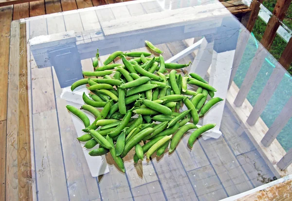 Guisantes verdes recién cosechados en vainas sobre mesa de vidrio —  Fotos de Stock