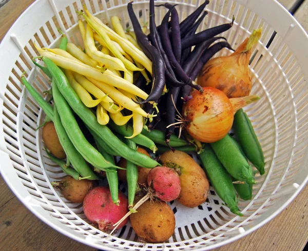 Radis jaunes, haricots français violets, haricots français jaunes, haricots français verts, oignons et haricots verts dans le bol — Photo