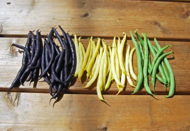 Mor, sarı ve yeşil Fransızca fasulye ahşap yüzey III