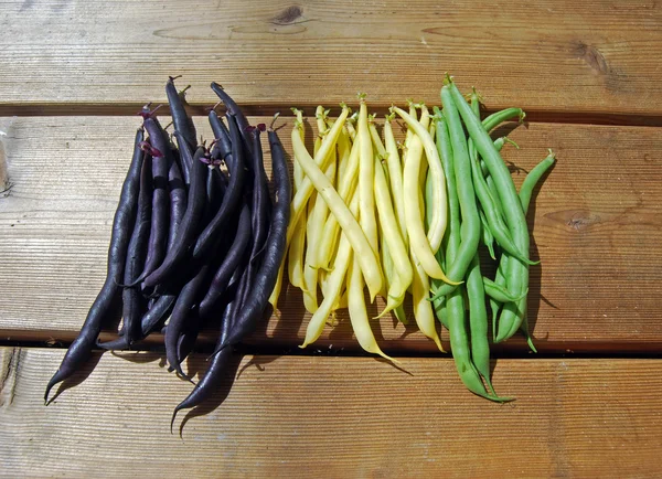 Haricots français violets, jaunes et verts sur la surface en bois II — Photo