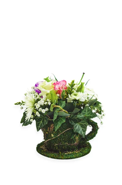 Groupe de belles plantes dans un pot décoré de mousse . — Photo