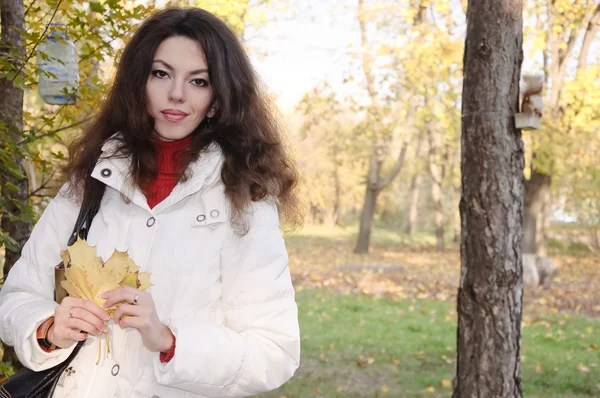 Piękna brunetka kobiety — Zdjęcie stockowe