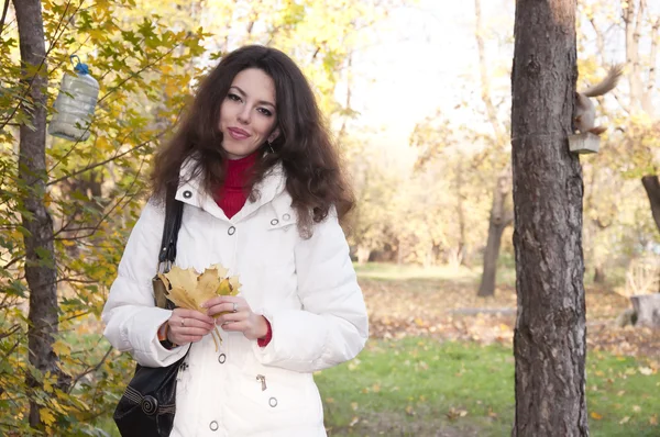 Piękna brunetka kobiety — Zdjęcie stockowe