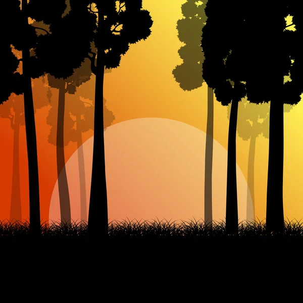 Лісові дерева ландшафтний схід сонця Векторний фон ілюстрація мого — стоковий вектор