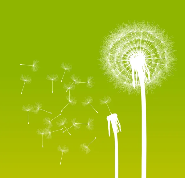 Abstract dandelion background vector illustration springtime — Stok Vektör
