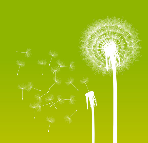 Abstract dandelion background vector illustration springtime