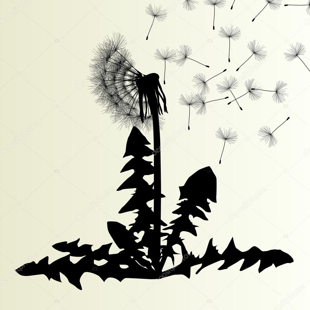 Abstract dandelion background vector illustration springtime