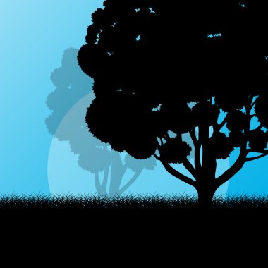 Orman ağaçları manzara gündoğumu vektör arka plan illüstrasyon benim